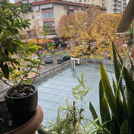 3m Urban * Tirana